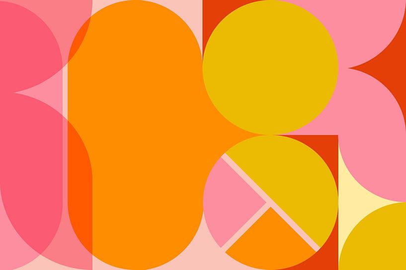 Colourful organic abstract geometry by Mad Dog Art