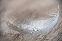 Tear on spring