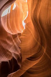 Antelope-Schlucht von Robby van Vliet