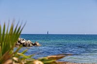 Beach and Mediterranean Sea with blurred palm tree and sailing boats from Port Grimaud View direction Saint Tropez, Cote d'Azur