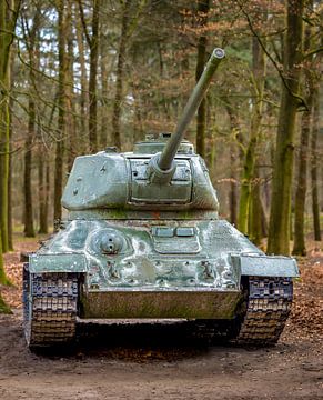 Iconische T-34/85: Een Tijdloze Russische Tank in de Natuur van Triki Photography