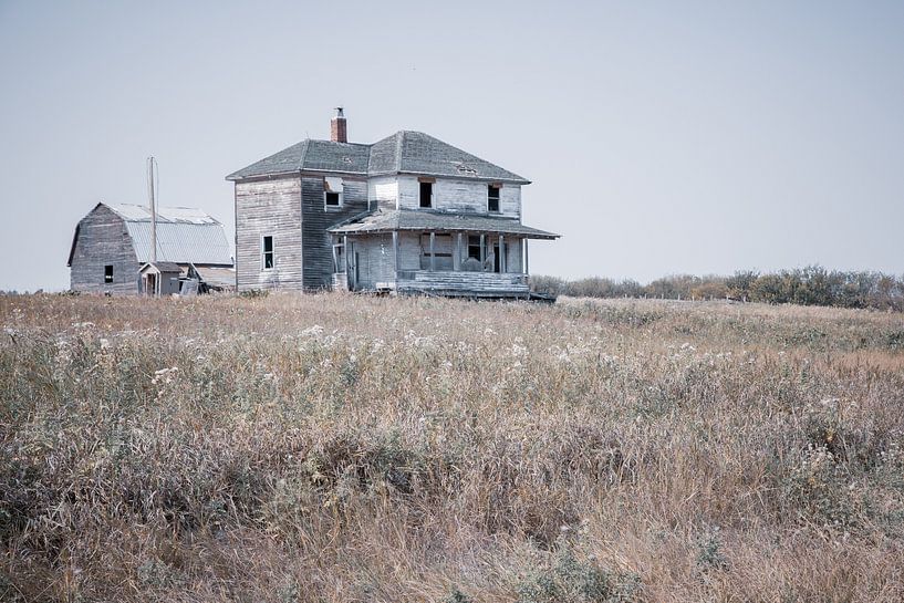 Expired by Barbara Verstraate