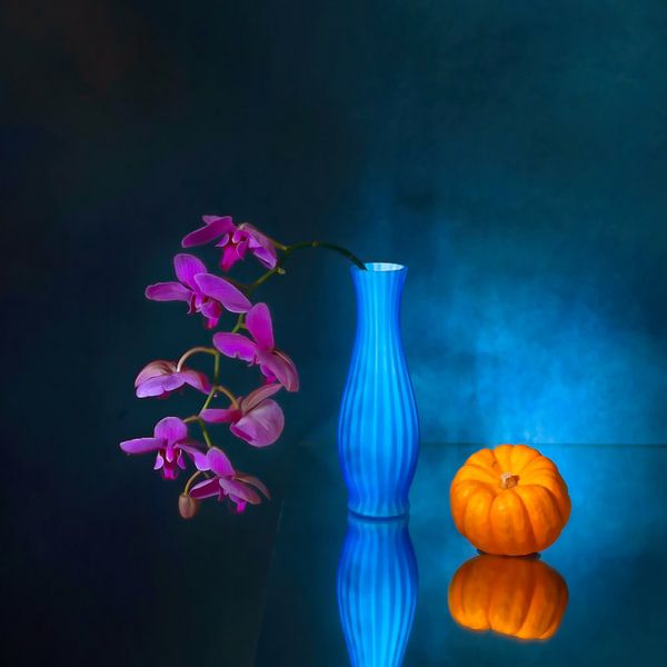 Electric blue  . Vrolijk stilleven met orchidee en pompoen. van Saskia Dingemans Awarded Photographer