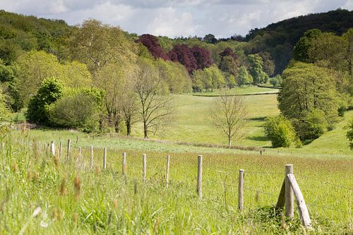 Lente in de Limburgse Voerstreek