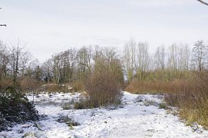 Wintergezicht von Ad Steenbergen