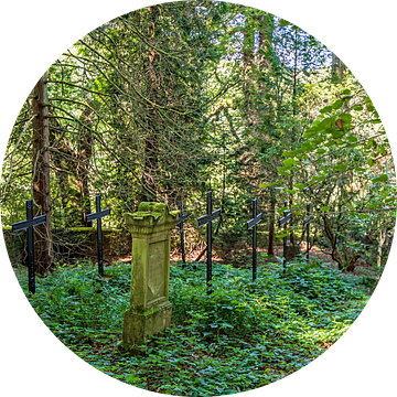 Een mysterieuze rustplaats midden in het bos