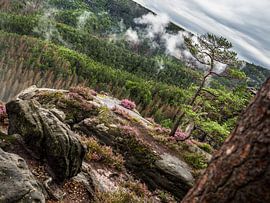 Kleiner Winterberg in Saksisch Zwitserland - Uitzicht richting Bärenhorn