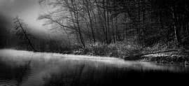 Morgennebel Über dem Fluß Wupper von Dirk Wüstenhagen