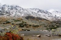 Meer in het Tatra gebergte in Slowakije