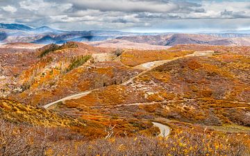 Herfst in Colorado von M. Cornu