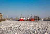 Hamburg - Sleepboten bij de pier in de winter van Sabine Wagner thumbnail