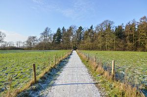 Wunderschöner Weg durch die Wiese an einem schönen Wintertag