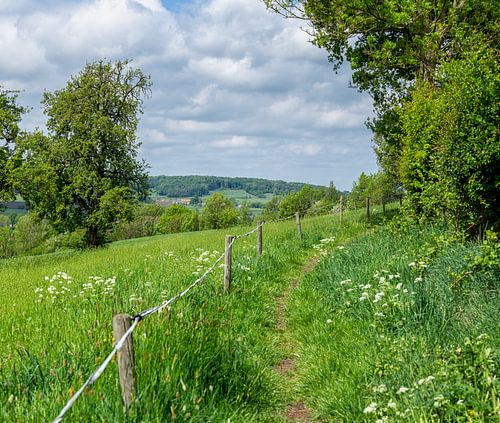 Panorama in Zuid-Limburg