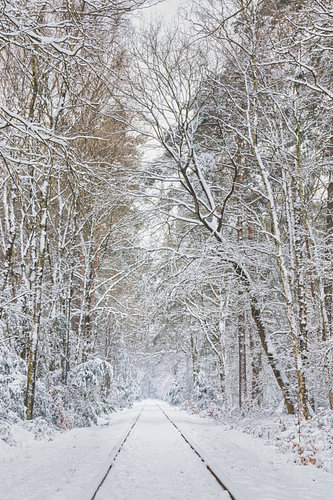 "Due to heavy snowfall there will be no trains today!"
