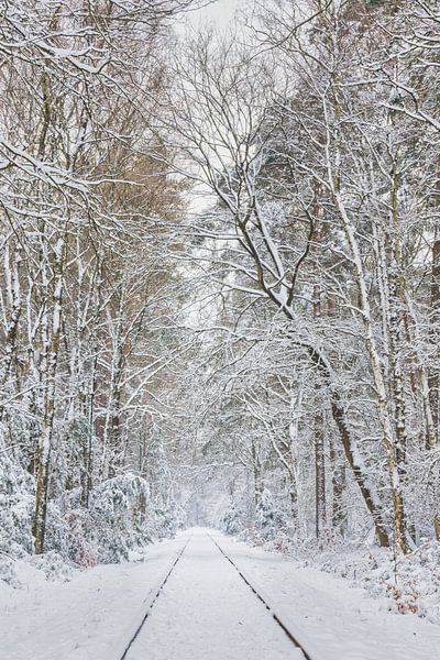 "Wegens zware sneeuwval rijden er vandaag geen treinen!" van Ivo Schut Fotografie