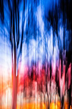 Sunset Tree van Robert Wiggers