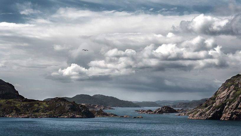 On the coast of Norway by Sonja Foerster-Odenthal