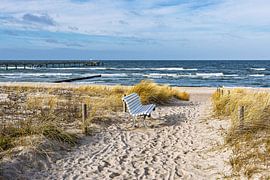 Toegang tot het strand met een bankje aan de Oostzeekust in Graal Mür
