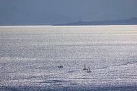 Segelboote auf dem Tyrrhenischen Meer vor Sizilien