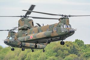 Hélicoptère de transport japonais Boeing CH-47 Chinook. sur Jaap van den Berg