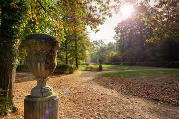 Autumn Park by Tim Lee Williams