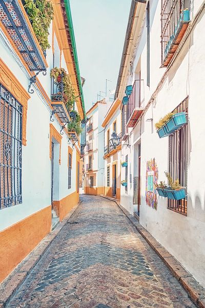 the colours of Cordoba by Manjik Pictures