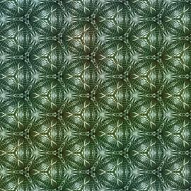 Botanisches Muster von Rietje Bulthuis