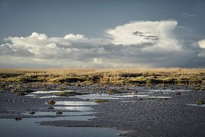 Sankt Peter-Ording III