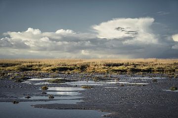 Sankt Peter-Ording III