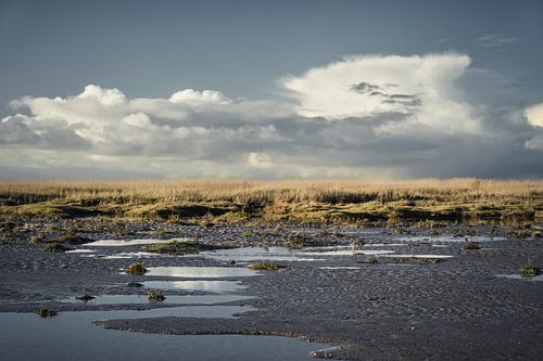 Sankt Peter-Ording III