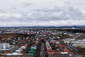 Reykjavik van Irene Hoekstra
