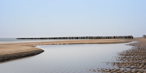 Zilte stilte op het Zeeuwse strand
