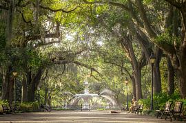 Guitar Man in Forsyth Park, Savannah von Rob Visser