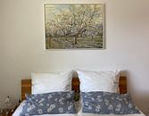 Kundenfoto: White Orchid - Vincent van Gogh 