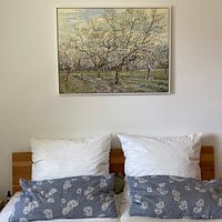 Photo de nos clients: White Orchid - Vincent van Gogh , sur toile
