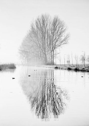 Spiegeling