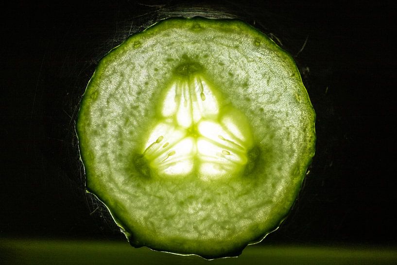 Gurke von Capacidad Fotografie