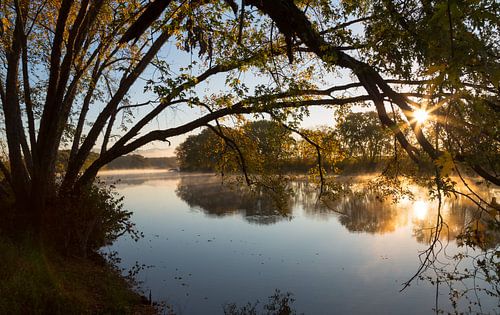 Morning light at the river