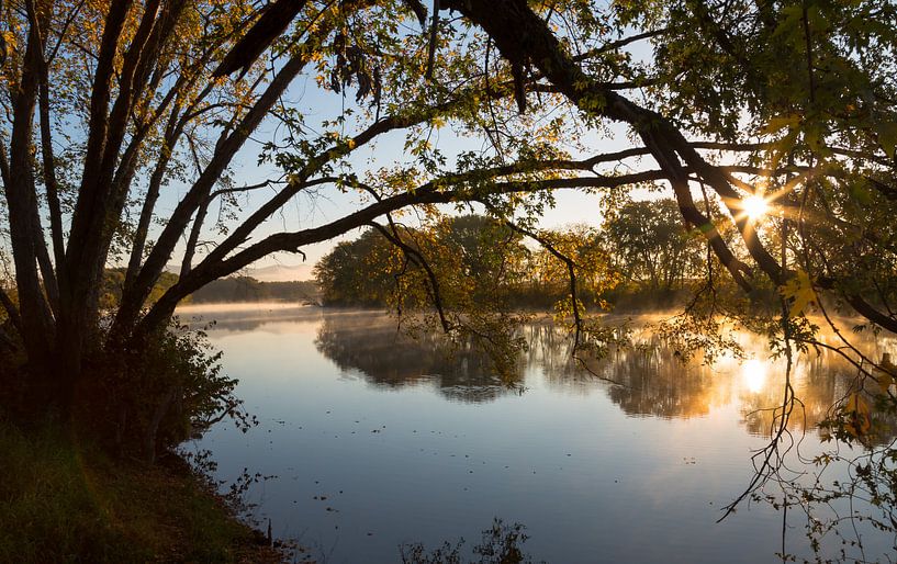 Morning light at the river by Peter Leenen