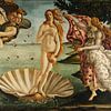 De Geboorte van Venus van Sandro Botticelli van Rebel Ontwerp