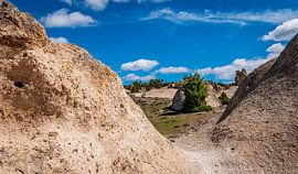 Frigya von Roland's Foto's