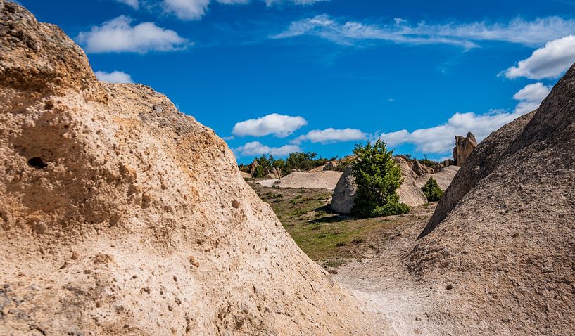 Frigya von Roland's Foto's