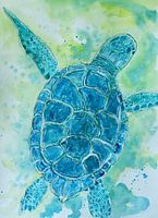 blue turtle