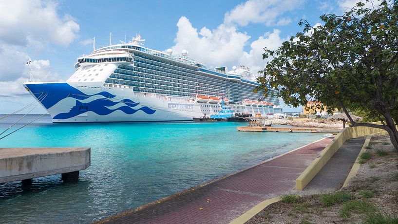 cruiseboot bonaire par Ivana Luijten
