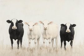 Cows in the field by Studio Allee