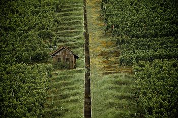 Ultimate picnic spot