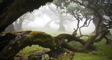 Sprookjeslandschap op Madeira van Martijn van Huffelen