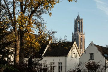 Der Utrechter Dom am 7. November 2025 (Landschaft, Farbe)