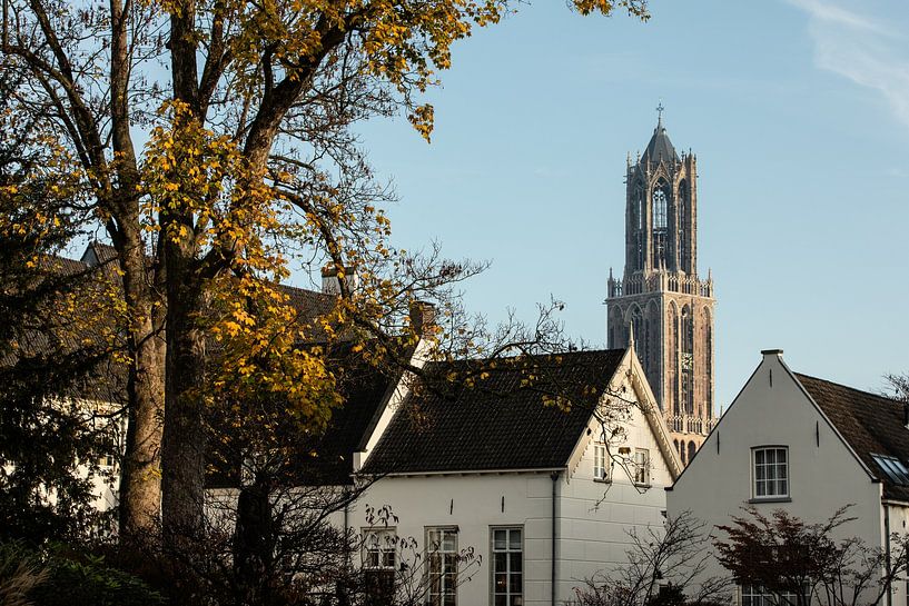 Dom d'Utrecht le 7 novembre 2025 (paysage, couleur) par André Blom Fotografie Utrecht