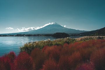 De berg Fuji en het meer van Kawaguchi van Endre Lommatzsch